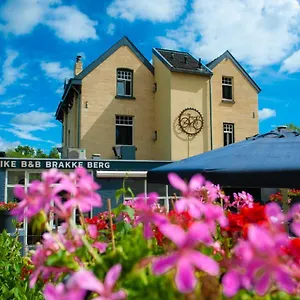 https://brasserie-hotel-brakke-berg.valkenburgaandegeul-hotels.com
